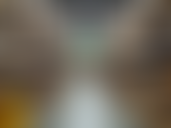 Home Improvement Store Essentials for Your Next Renovation