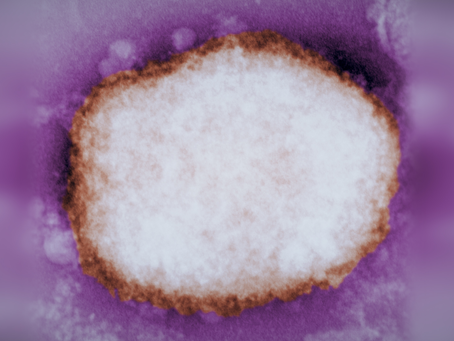 Monkeypox: It's A Rave Story