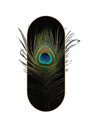 IMG_4243.png