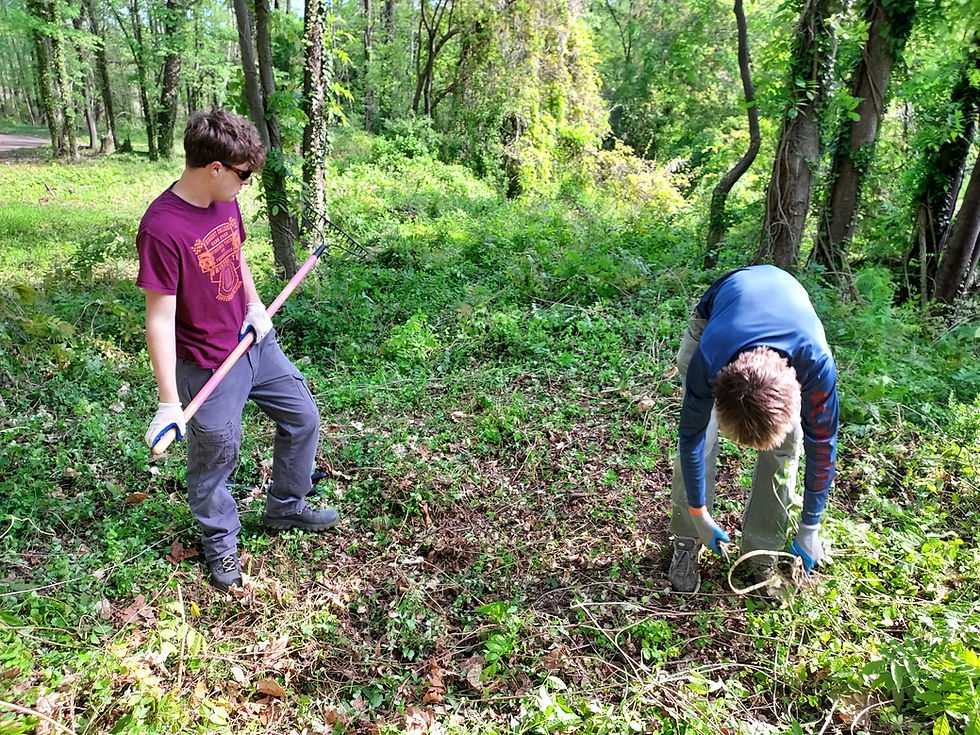 Woodland Cemetery Public Work Day