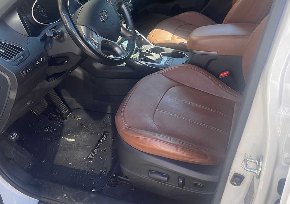Interior leather conditioning in Charlotte, NC