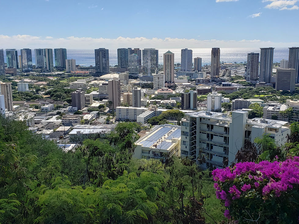 View of Makiki.jpg