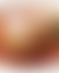 汉堡番茄酱炖肉