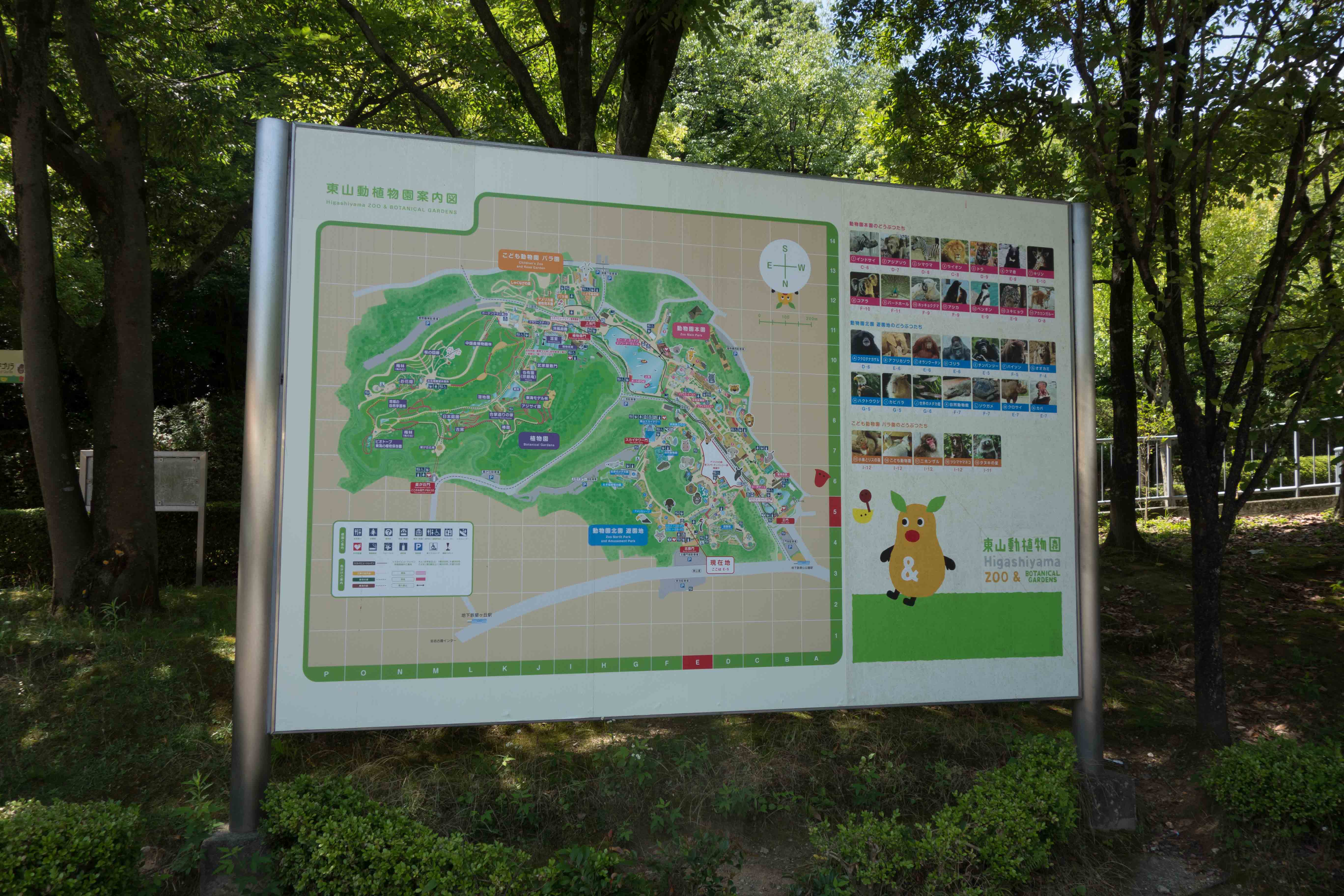 東山動物園 カピバラカピゴン