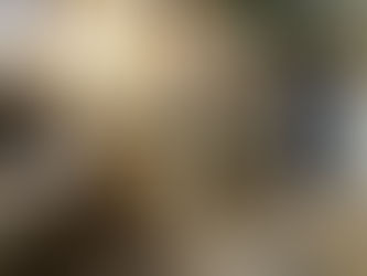 Applications closed for Technical Coordinator position