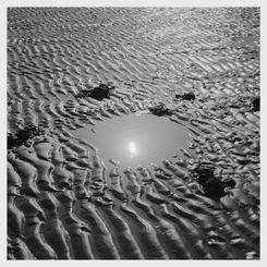 Photo by Simon Martin for the Art, Society, Nature Photographic residency at The Margate School.