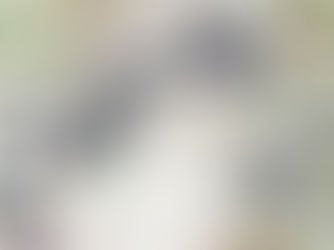 Art, Society, Nature Takeover—Georgia Janes