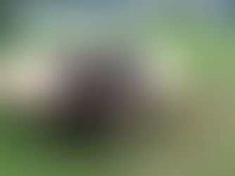 Anthony Heywood (1952 - 2022) R.I.P.