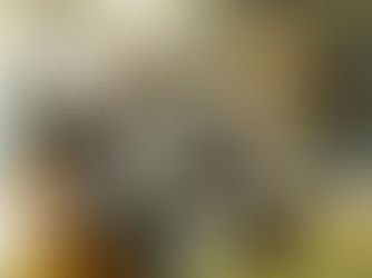 TMS Masters Programme Bursaries