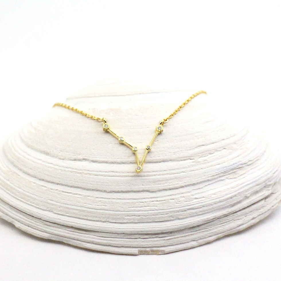 Thumbnail: Pisces Zodiac Constellation Necklace