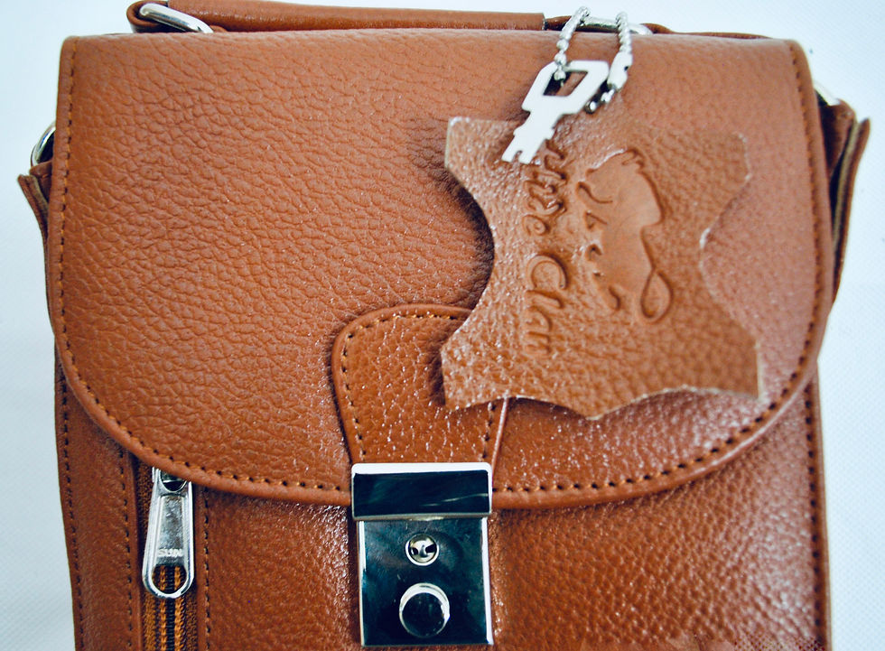 Thumbnail: Travel ‘Wizard’ Genuine Leather Lockable Bag