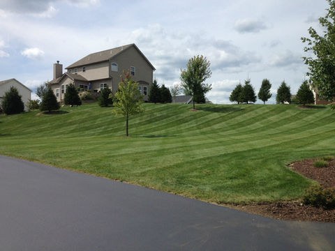 Neatly mowed lawn showing bagged clippings and precise edges.