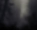 Black and Grey Dark Forest Aesthetic Book Cover (2)_edited.jpg