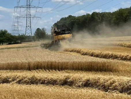 Getreideernte 2023