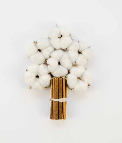top-view-cotton-flowers-bouquet-with-copy-space.jpg