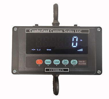 CCS-5000-EE-CS (Front)_edited.jpg