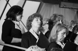 IMG_5324.JPG