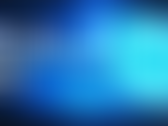 Virtual CFO Services