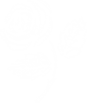 LOGO BRANCA.png