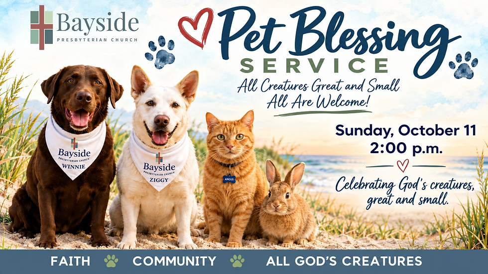 Pet Blessing