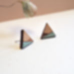 Miniature : Puces TRIANGULA