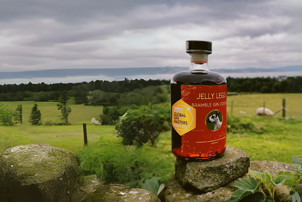 Gold Medal at the Global Spirits Masters 2025