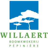 willaert-logo.png