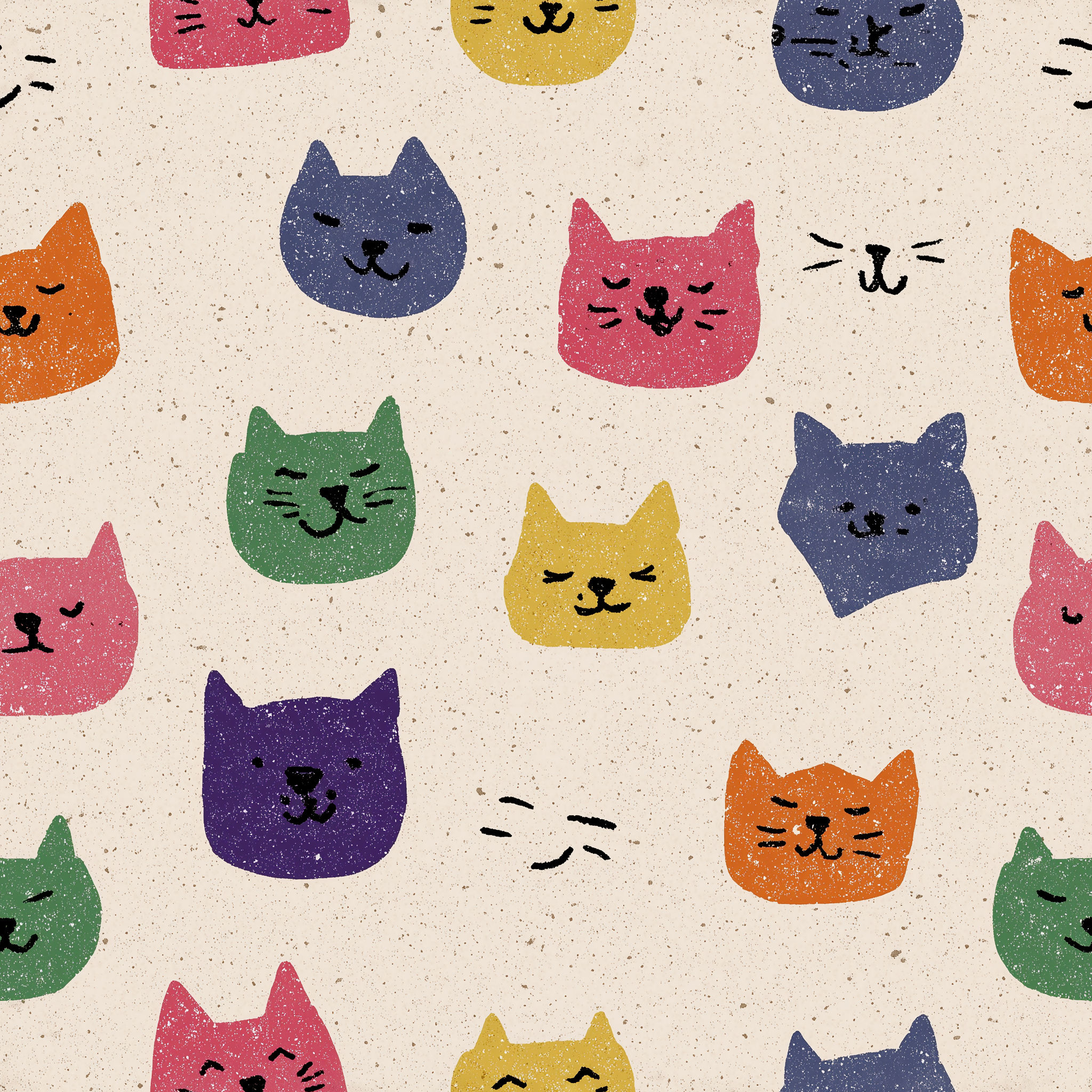Kitty School