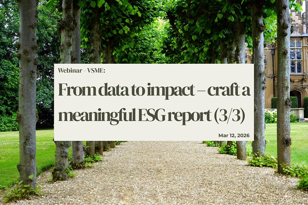 VSME: From Data to Impact – Craft a Meaningful ESG Report (3/3)