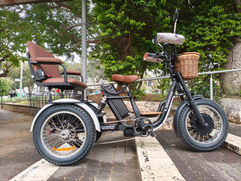 תלת אופן משפחתי אמיתי