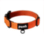 Exclusive High Visibility Orange Collar