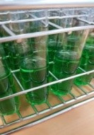 Microbiological Analysis