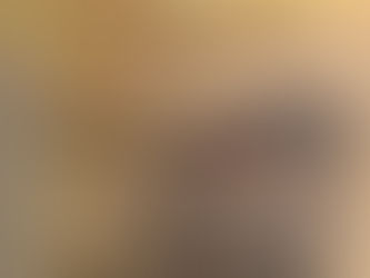 Omakase Promotion for March