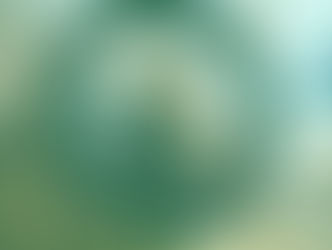 ¡Creador iniciante: potencia tus redes sociales! Cómo expandir el alcance de tu contenido.