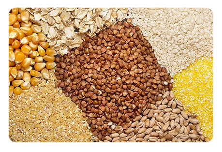 Grains & Cereals