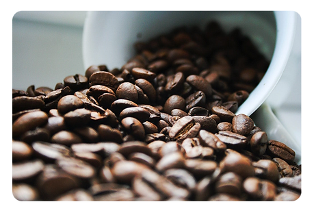 Other Agricultural Products