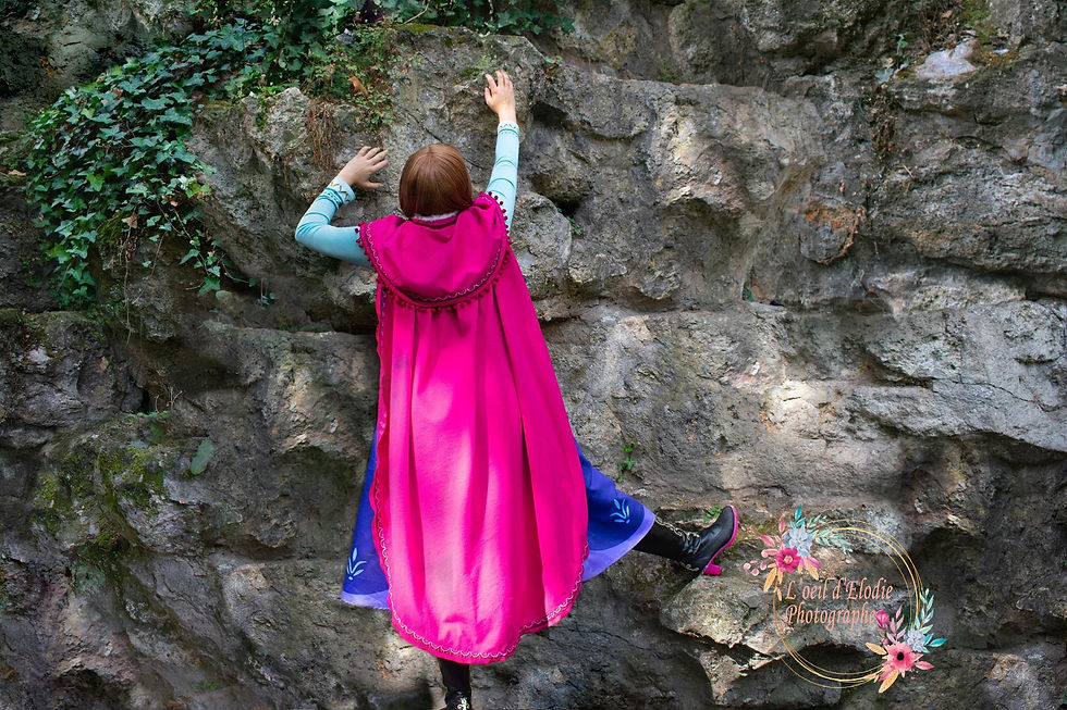 party princess nord