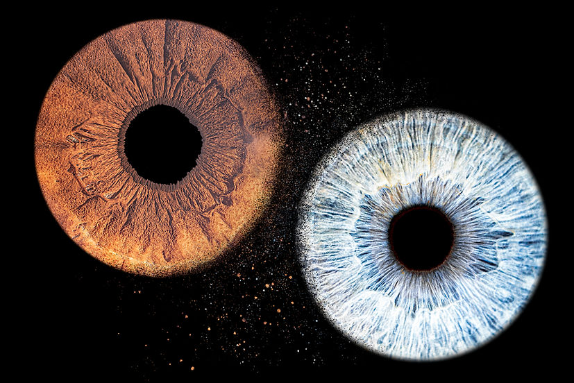 Photographie d'iris Douai