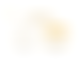 Google Ads Branded Campaigns: Protect Capital Allocation