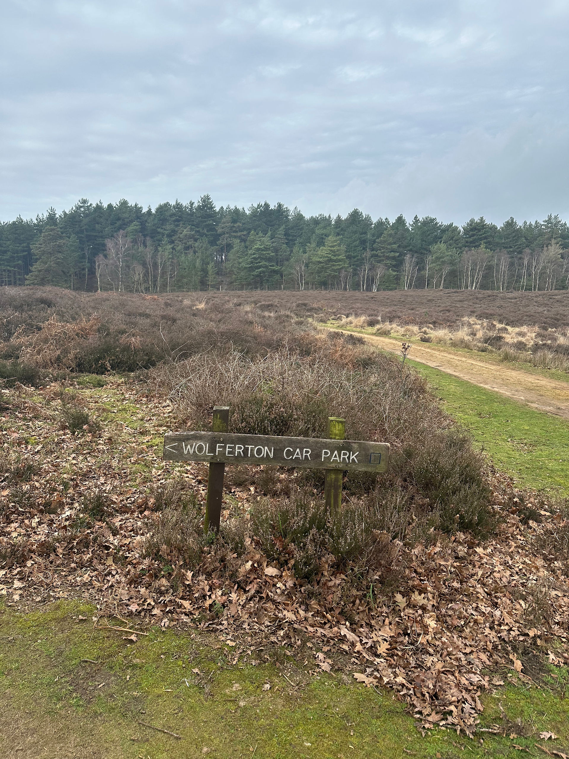 Walking tracks along Dersingham Bog walks