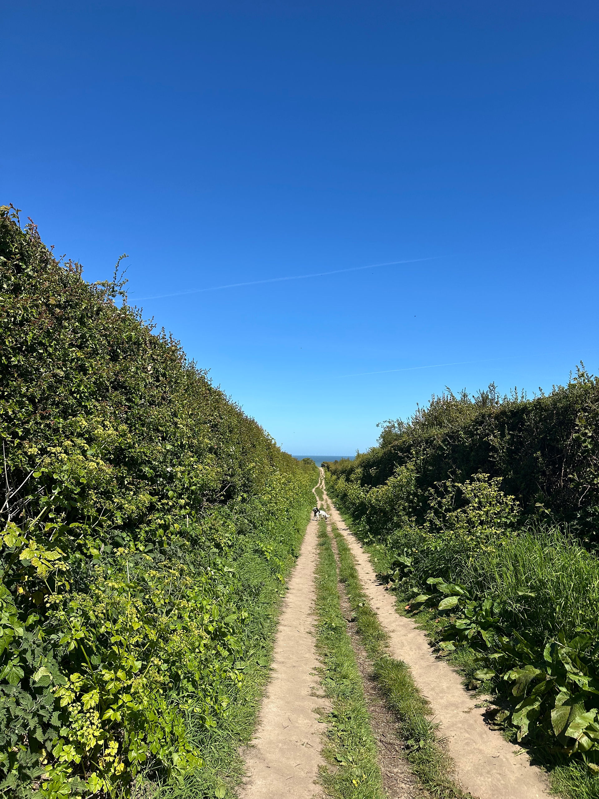 Track back from the coast to Sheringham Park