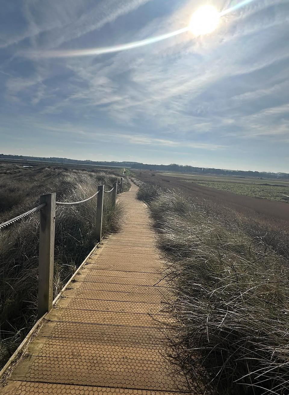 Wander through the marshes on the board walk