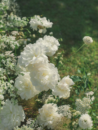 amalfi coast - wedding ceremony flowers 