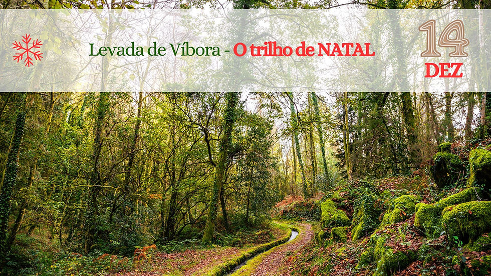 Levada de Víbora.jpg