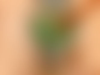 home made wild garlic pesto 