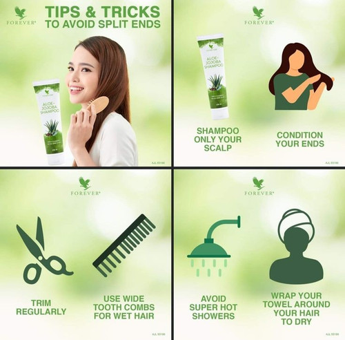 aloe vera gelenkentzündungen BIO SOS Roll-on Aloe ❤️ mit Arnika, Kampfer & Lavendel main image 1