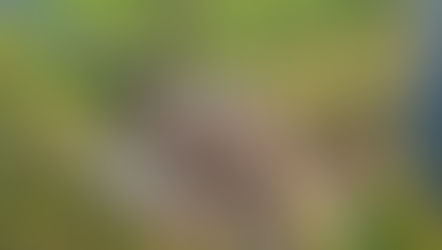 Week 1: October 19th - October 23rd