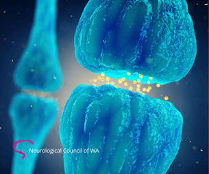 Myasthenia Gravis: Navigating Life with an Unpredictable Muscle Disorder