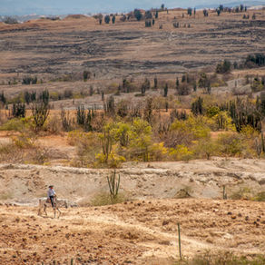RETRATOS DEL SILENCIO