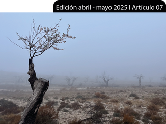 FOTORELATO: ¿PODEMOS AMAR A UN ÁRBOL?